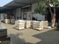 Bắp Bò Úc CAG