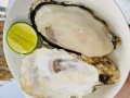 Hàu Nhật cao cấp chuẩn Sashimi Hyogo 