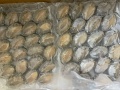 Bào ngư size 20/25 