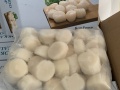 Còi sò điệp Nhật hokkaido
