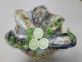 Hàu Nhật cao cấp chuẩn Sashimi Hyogo 