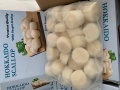 Còi Sò Điệp Nhật Hokkaido