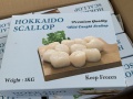 Còi sò điệp Nhật hokkaido