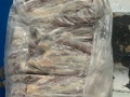BẮP HOA BÒ ÚC AMH BÒ NON S