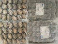 Bào ngư size 20/25 