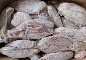 BẮP HOA BÒ CANADA EXCEL