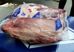 Bắp bò Úc Kilcoy