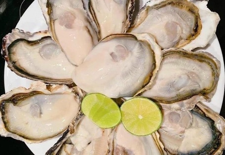Hàu Nhật cao cấp chuẩn Sashimi Hyogo 