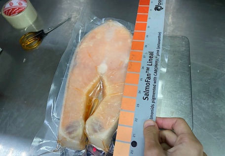 Cá hồi cắt khoanh 